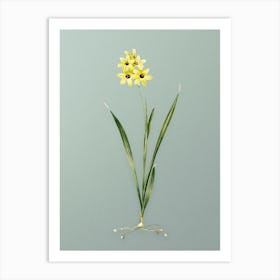 Vintage Ixia Fusco Citrina Botanical Art on Mint Green n.0353 Art Print