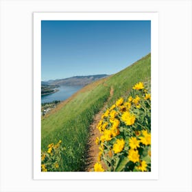 Yellow Wildflower Path Art Print