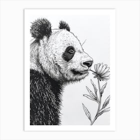 Giant Panda Sniffing A Flower Ink Illustration 2 Art Print