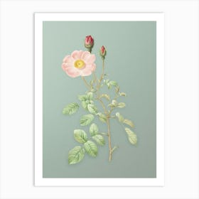 Vintage Sparkling Rose Botanical Art on Mint Green n.0142 Art Print