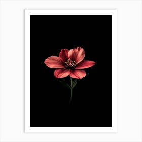 Black Flower 4 Art Print