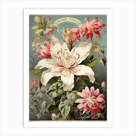 Spring Floral French Poster Honeysuckle Art Print 3 Art Print