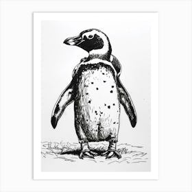 African Penguin Huddling For Warmth 4 Art Print