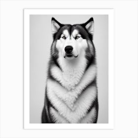 Alaskan Malamute 2 B&W Pencil Dog Art Print