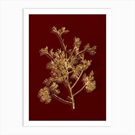 Vintage Atlantic White Cypress Botanical in Gold on Red n.0265 Art Print