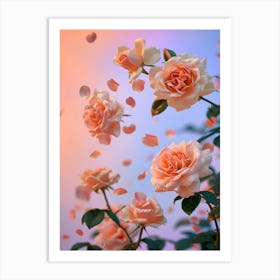 English Roses Painting Rose Petals 3 Art Print