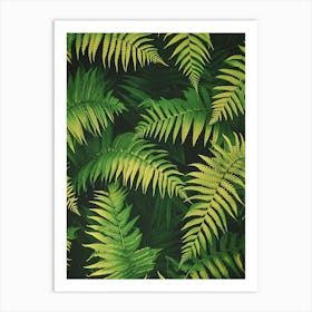 Pattern Poster Leatherleaf Fern 3 Art Print