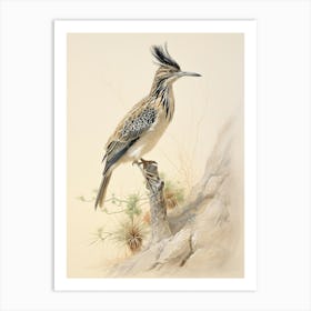 Vintage Bird Drawing Roadrunner 1 Art Print