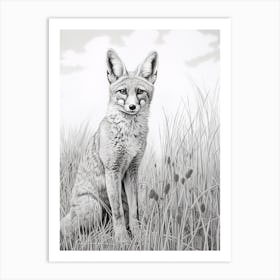Bengal Fox In A Field Pencil Drawing 3 Art Print