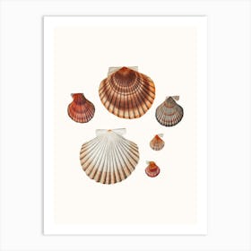 Seashells Poster Art Print