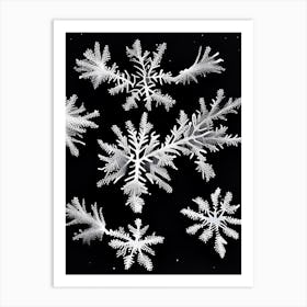 Fernlike Stellar Dendrites, Snowflakes, Black & White 2 Art Print