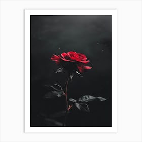 Dark Rose 92 Art Print