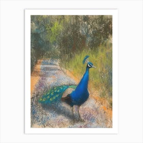 Peacock On The Path Scribble Portrait 2 Art Print