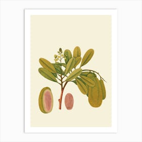 Guava 2 Art Print