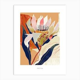 Colourful Flower Illustration Poster Protea 2 Art Print
