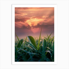 Sunrise Over Green Grass Art Print