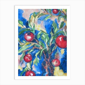 Pomegranate 2 Classic Fruit Art Print