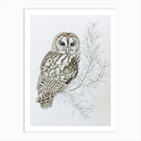 Tawny Owl Marker Drawing 6 Art Print