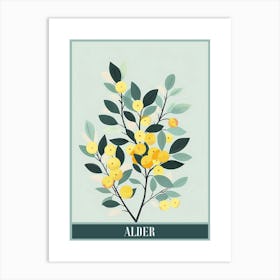 Alder Tree Flat Illustration 4 Poster Art Print