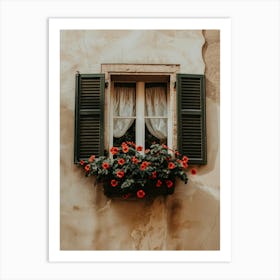 Window With Flowers 5 Art Print