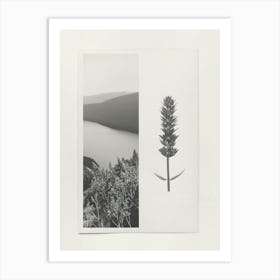 Lavender Flower Photo Collage 1 Art Print