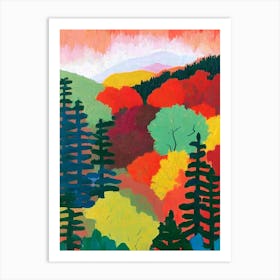 Muir Woods National Park 1 United States Of America Abstract Colourful Art Print