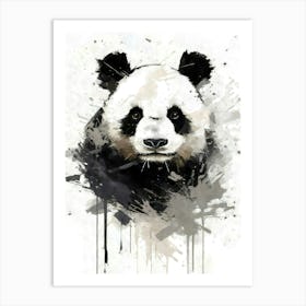 Aesthetic Abstract Watercolor Pandabear Art Print