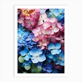 Hydrangeas 11 Art Print