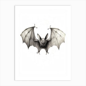 Botanical Fruit Bat Illustration 2 Art Print