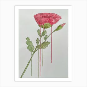 Poppy Art Print