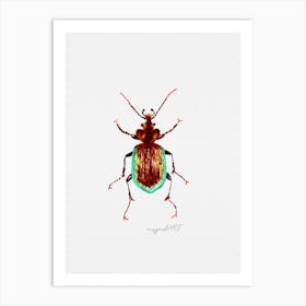 Calosoma scrutator, Caterpillar hunter beetle, watercolor artwork Art Print