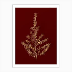 Vintage Sea Asparagus Botanical in Gold on Red n.0334 Art Print