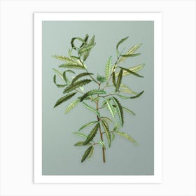 Vintage Sweetfern Botanical Art on Mint Green Art Print