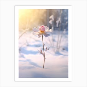 Beautiful Winter Flower 9 Art Print