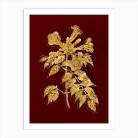 Vintage Trumpet Vine Botanical in Gold on Red n.0040 Art Print