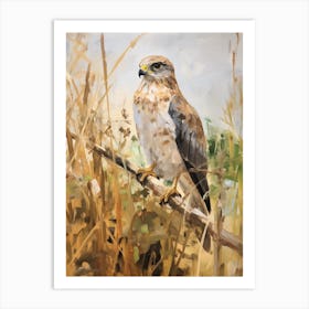 Bird Painting Eurasian Sparrowhawk 4 Art Print