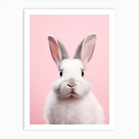 Rabbit On Pink Background Art Print