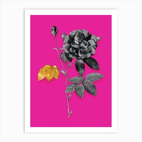 Vintage French Rose Black and White Gold Leaf Floral Art on Hot Pink Art Print