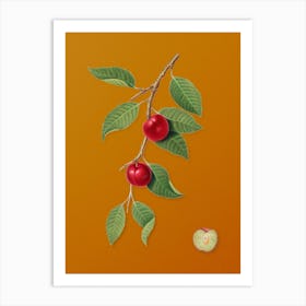 Vintage Cherry Plum Botanical on Sunset Orange n.0202 Art Print