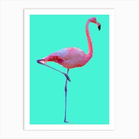 Flamingo Mint Art Print