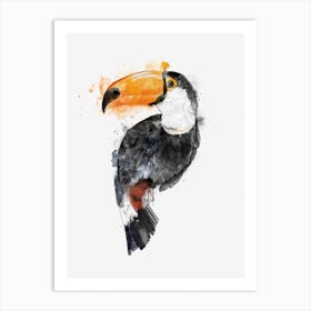 Toucan Art Print