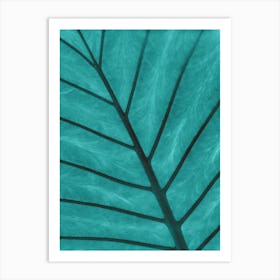 Teal Leaf Art Print