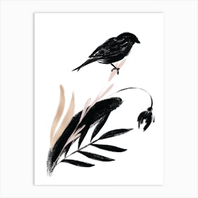 Delicate Floral Bird Art Print