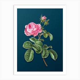 Vintage Provence Rose Botanical Art on Teal Blue 1 Art Print