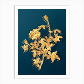 Vintage Moss Rose Botanical in Gold on Teal Blue n.0305 Art Print