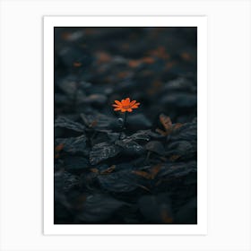 Single Flower In The Dark 88 Art Print