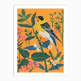 Spring Birds Barn Swallow 1 Art Print