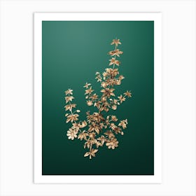 Gold Botanical Madder Leaved Bauera on Dark Spring Green Art Print
