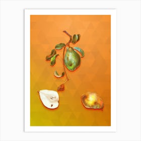 Vintage Pear Botanical Art on Tangelo n.1095 Art Print