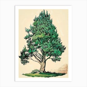 Cypress Tree Storybook Illustration 1 Art Print